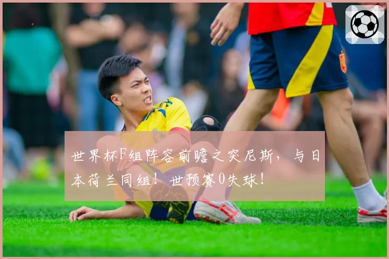 世界杯F组阵容前瞻之突尼斯,与日本荷兰同组!世预赛0失球!