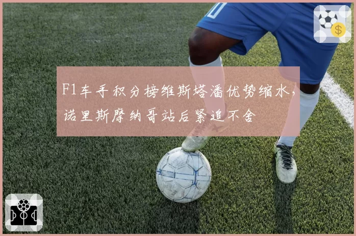 F1车手积分榜维斯塔潘优势缩水,诺里斯摩纳哥站后紧追不舍