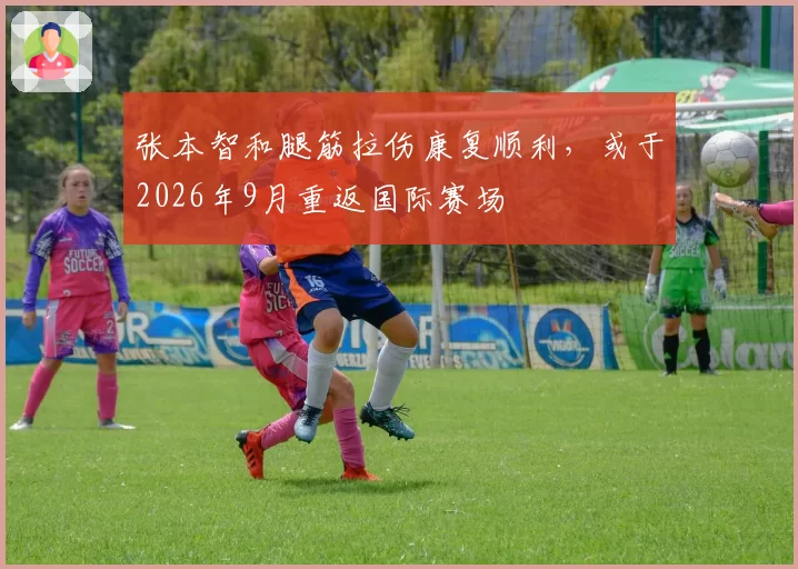 张本智和腿筋拉伤康复顺利,或于2026年9月重返国际赛场