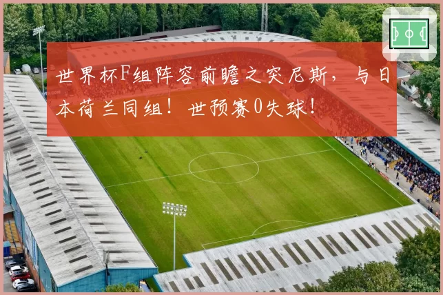 世界杯F组阵容前瞻之突尼斯,与日本荷兰同组!世预赛0失球!