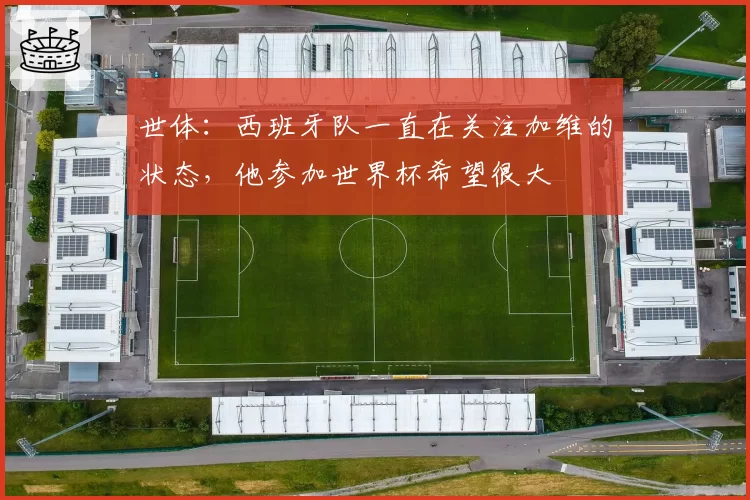 世体：西班牙队一直在关注加维的状态，他参加世界杯希望很大