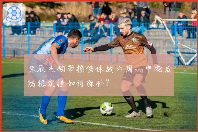 朱辰杰韧带损伤休战六周,申花后防稳定性如何弥补?